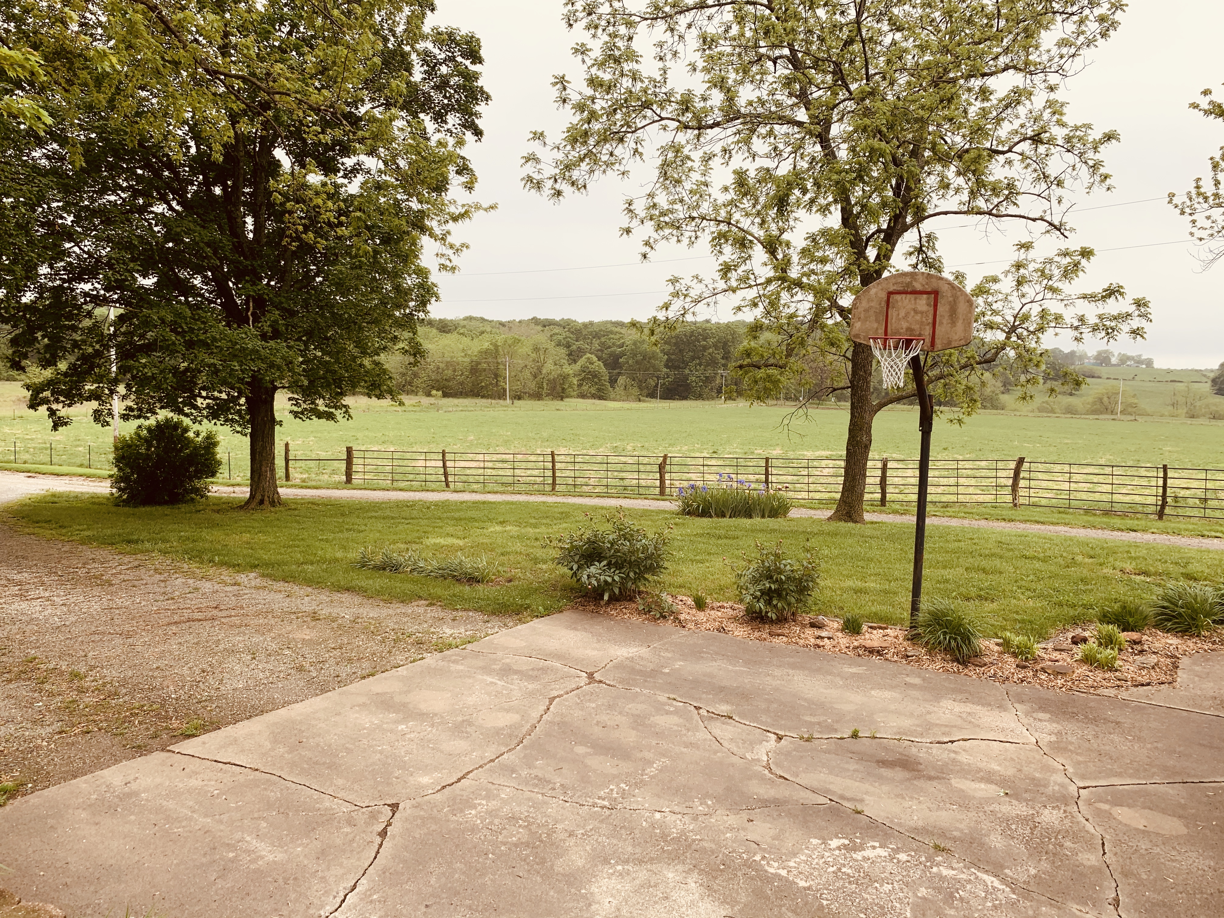20200516_150221867_iOS.jpg